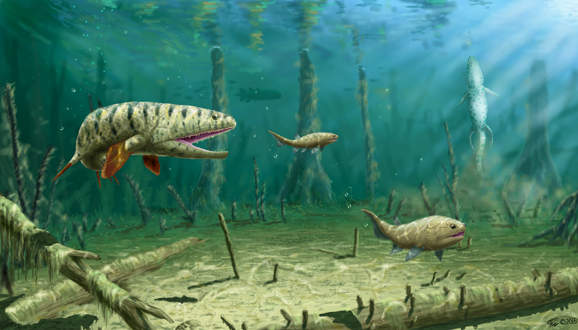 natural-world-devonian-period